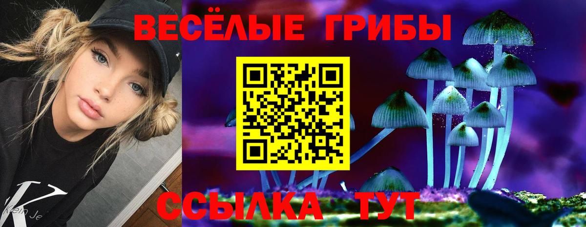 Галлюциногенные грибы Psilocybe Воркута